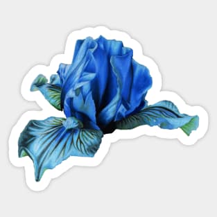 Blue iris flower Sticker